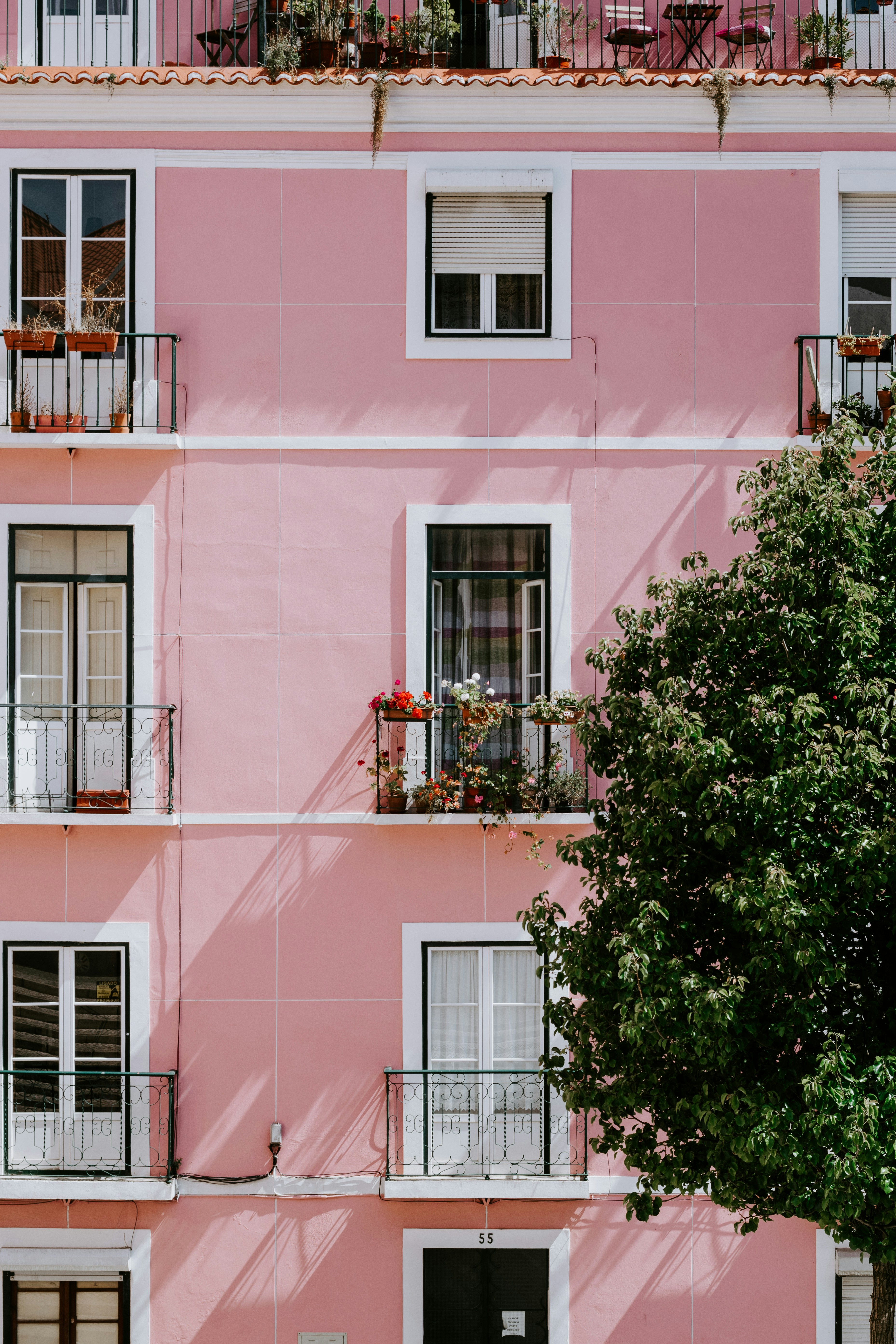 pink-building